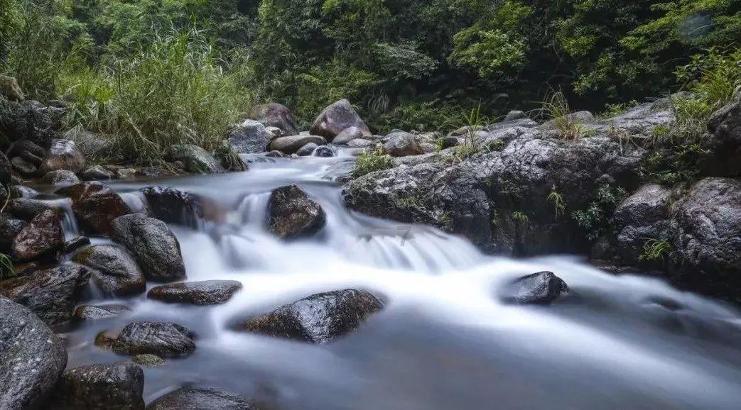 1家4口在自家打麻将被举报，疫情防控人员进行训诫，疫情间该注意什么？